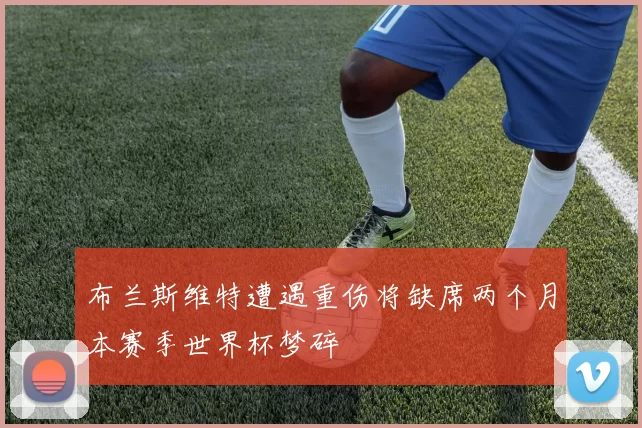 布兰斯维特遭遇重伤将缺席两个月本赛季世界杯梦碎