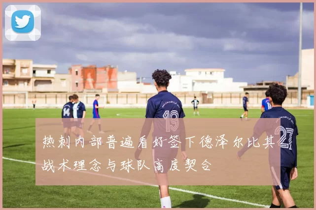 热刺内部普遍看好签下德泽尔比其战术理念与球队高度契合
